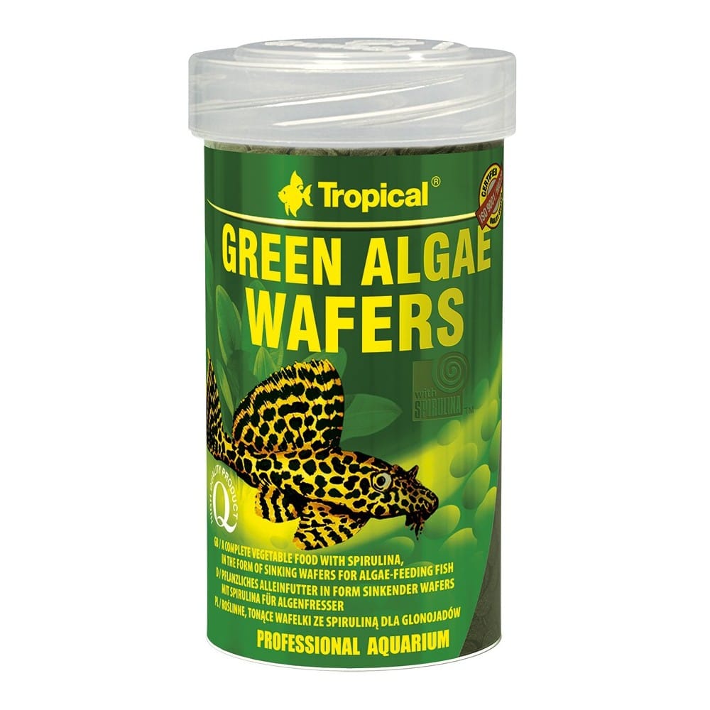 Tropical Green Algae Wafers pašaras dugninėms žuvims 100 ml - Image 3