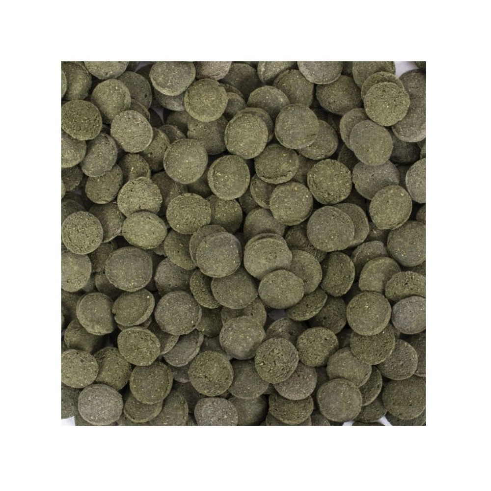 Tropical HI-Algae Discs pašaras žuvims 100 ml - Image 2