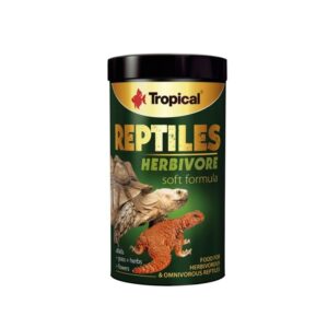 Tropical Soft Line Reptiles Herbivore maistas augalėdžiams ropliams