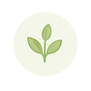 Kiek grunto reikia akvariumui