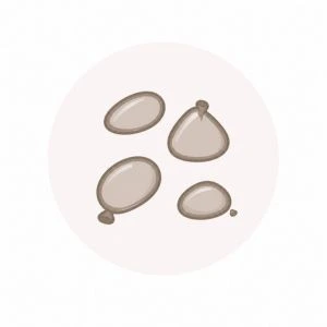 Kiek grunto reikia akvariumui