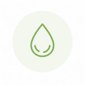 Grunto paruošimas | AKVANAMAI