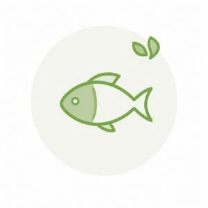 Grunto priežiūra | AKVANAMAI