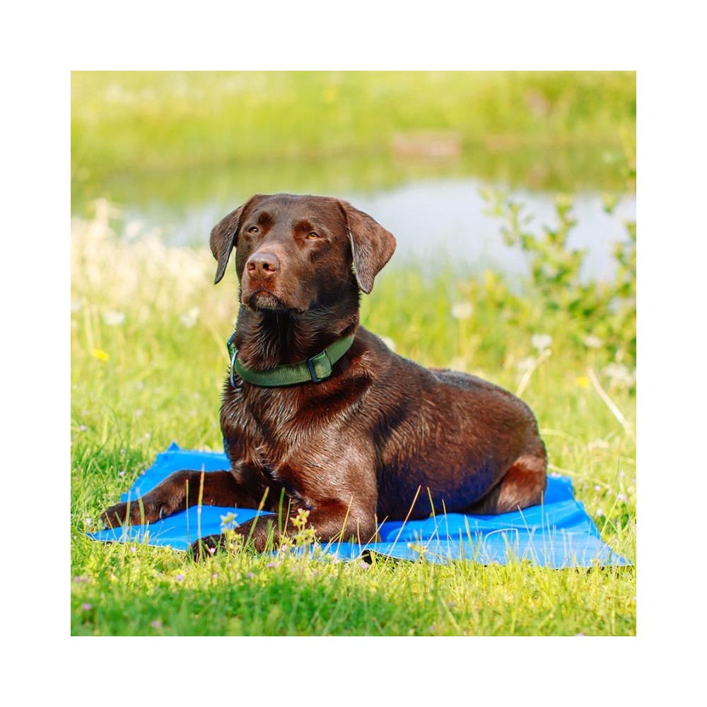 Vėsinantis kilimėlis šunims Ice XL, 110x70 cm - Image 3