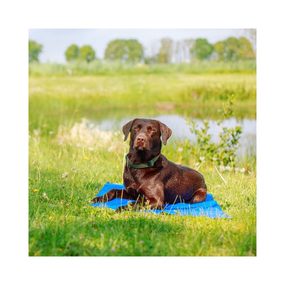 Vėsinantis kilimėlis šunims Ice XL, 110x70 cm - Image 5