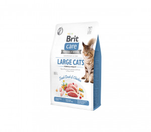 Brit Care Cat GF Large cats Power&Vitality sausas pašaras katėms 2 kg