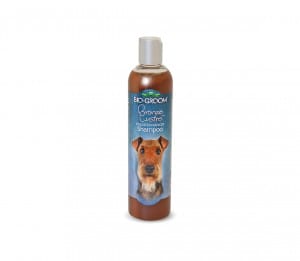 Bio-Groom šampūnas Bronze Lustre 355ml