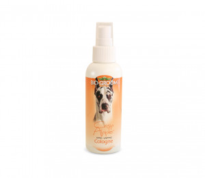 Bio-Groom kvepalai Crisp Apple Cologne 118ml
