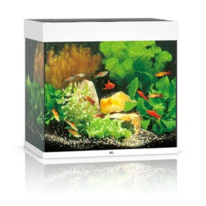 Juwel Lido 120 LED akvariumas 120l Baltas