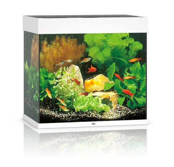 Juwel Lido 120 LED akvariumas 120l Baltas