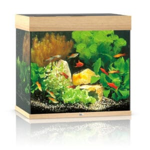 Juwel Lido 120 LED akvariumas 120l Šviesus medis