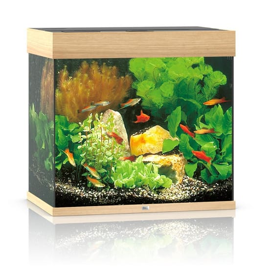 Juwel Lido 120 LED akvariumas 120l Šviesus medis