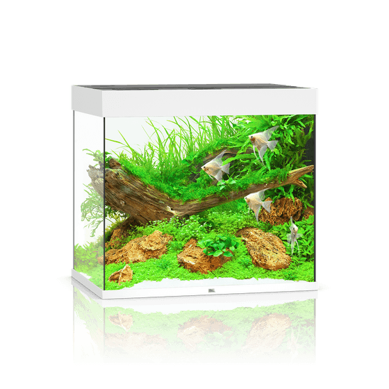 Juwel Lido 200 LED akvariumas 200l Baltas