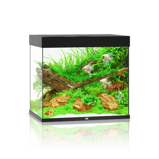 Juwel Lido 200 LED akvariumas 200l Juodas