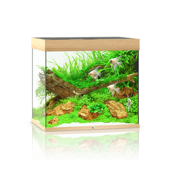 Juwel Lido 200 LED akvariumas 200l Šviesus medis