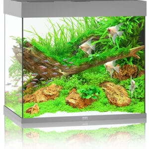 Juwel Lido 200 LED akvariumas 200l Pilkas