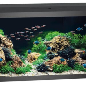 Juwel Primo 110 LED akvariumas 110l