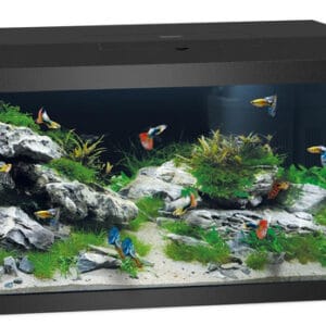 Juwel Primo 60 LED akvariumas 57l