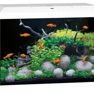 Juwel Primo 70 LED akvariumas 70l Baltas