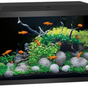 Juwel Primo 70 LED akvariumas 70l Juodas