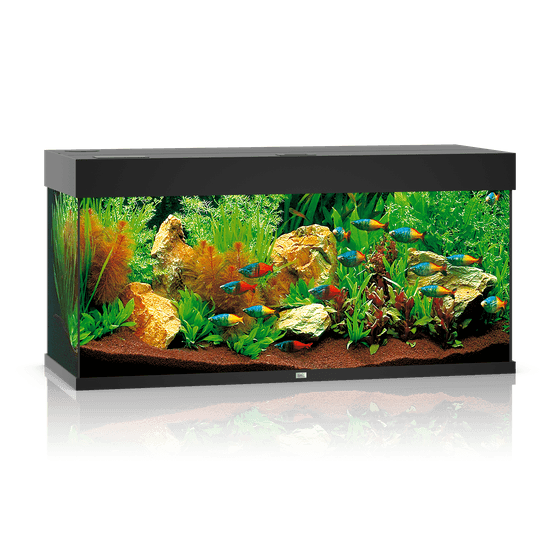 Juwel Rio 180 LED akvariumas 180l Juodas