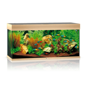 Juwel Rio 180 LED akvariumas 180l Šviesus medis