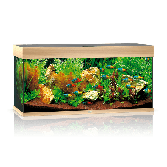 Juwel Rio 180 LED akvariumas 180l Šviesus medis