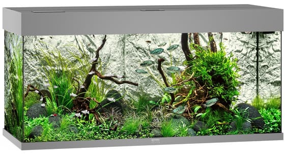 Juwel Rio 180 LED akvariumas 180l Pilkas