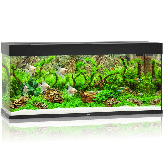 Juwel Rio 240 LED akvariumas 240l Juodas - Image 2