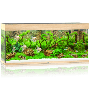 Juwel Rio 240 LED akvariumas 240l Šviesus medis