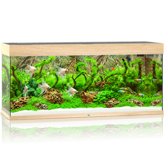 Juwel Rio 240 LED akvariumas 240l Šviesus medis