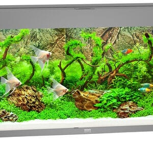 Juwel Rio 240 LED akvariumas 240l Pilkas