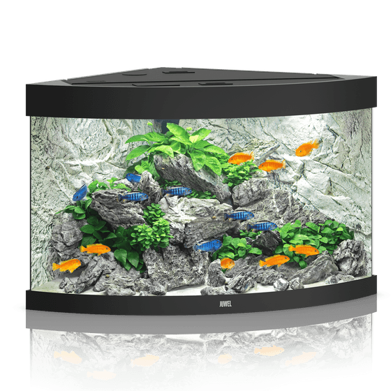 Juwel Trigon 190 LED akvariumas 190l Juodas