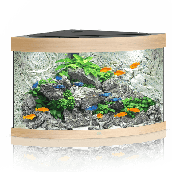 Juwel Trigon 190 LED akvariumas 190l Šviesus medis