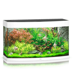 Juwel Vision 180 LED akvariumas 180l Baltas