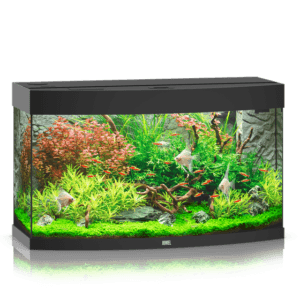Juwel Vision 180 LED akvariumas 180l Juodas