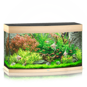 Juwel Vision 180 LED akvariumas 180l Šviesus medis