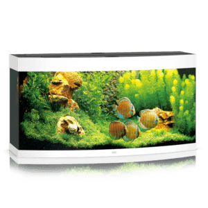Juwel Vision 260 LED akvariumas 260l Baltas