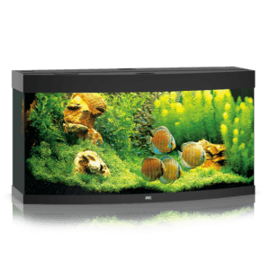 Juwel Vision 260 LED akvariumas 260l Juodas