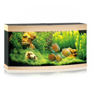 Juwel Vision 260 LED akvariumas 260l Šviesus medis