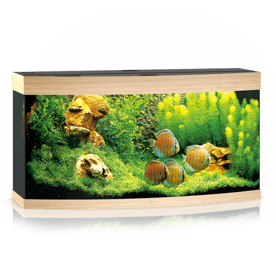 Juwel Vision 260 LED akvariumas 260l Šviesus medis