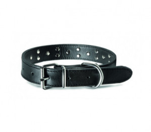 Record odinis antkaklis šunims 3